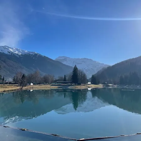 Appartement Des Cimes Samoëns