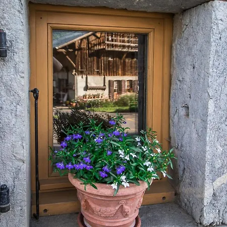 Appartement Des Cimes *
